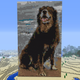 Illustration for article titled The Best emMinecraft/em Dog Youll See Today